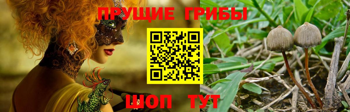 Галлюциногенные грибы мицелий Бийск